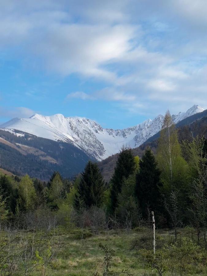 Pensiunea Colt De Rai, Vistisoara Статіунеа-Кліматеріка-Самбата Екстер'єр фото